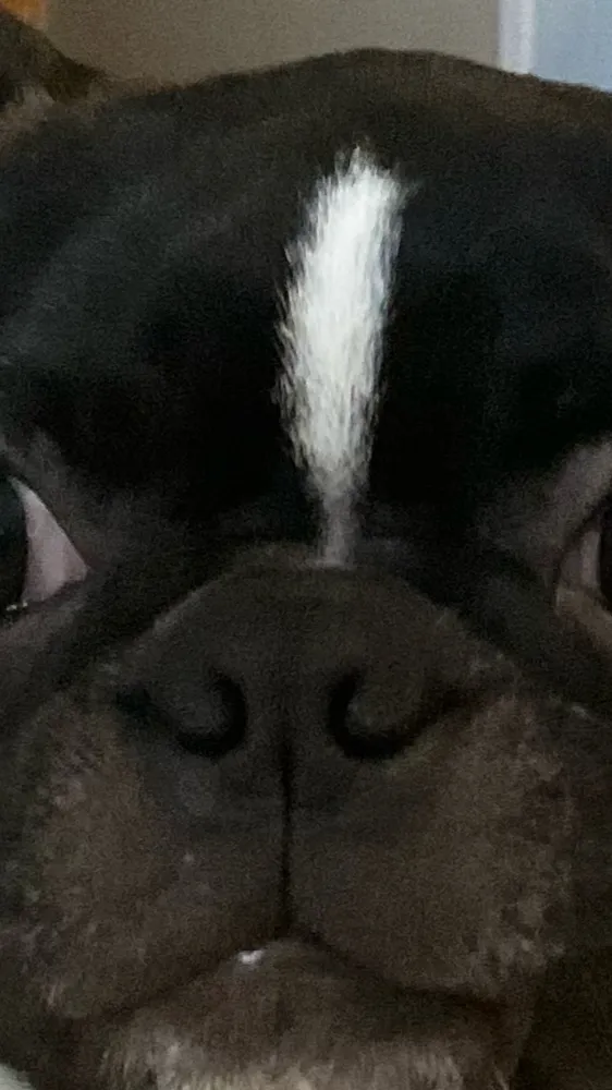 ai character: Random  background