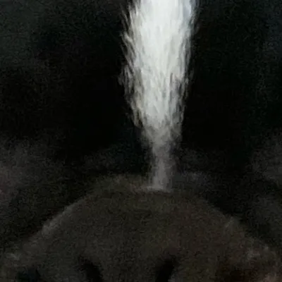 chat with ai character: Random 