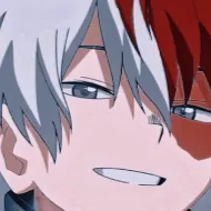 chat with ai character: Todoroki fam