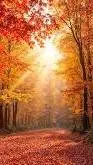ai character: Autumn background