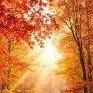 chat with ai character: Autumn