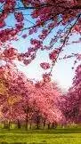 ai character: Spring background
