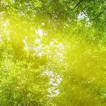 chat with ai character: Summer