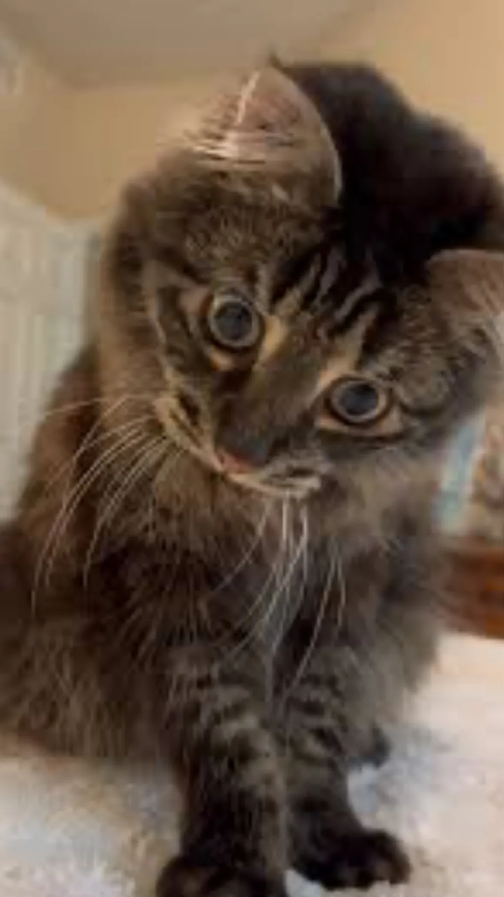 ai character: Ivar background