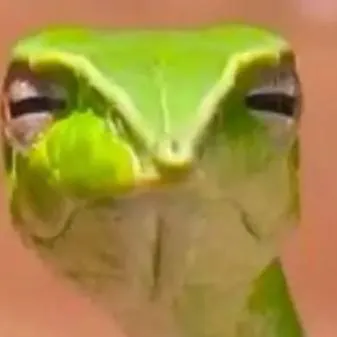 chat with ai character: judging snake 🤣🤣🤣🤣