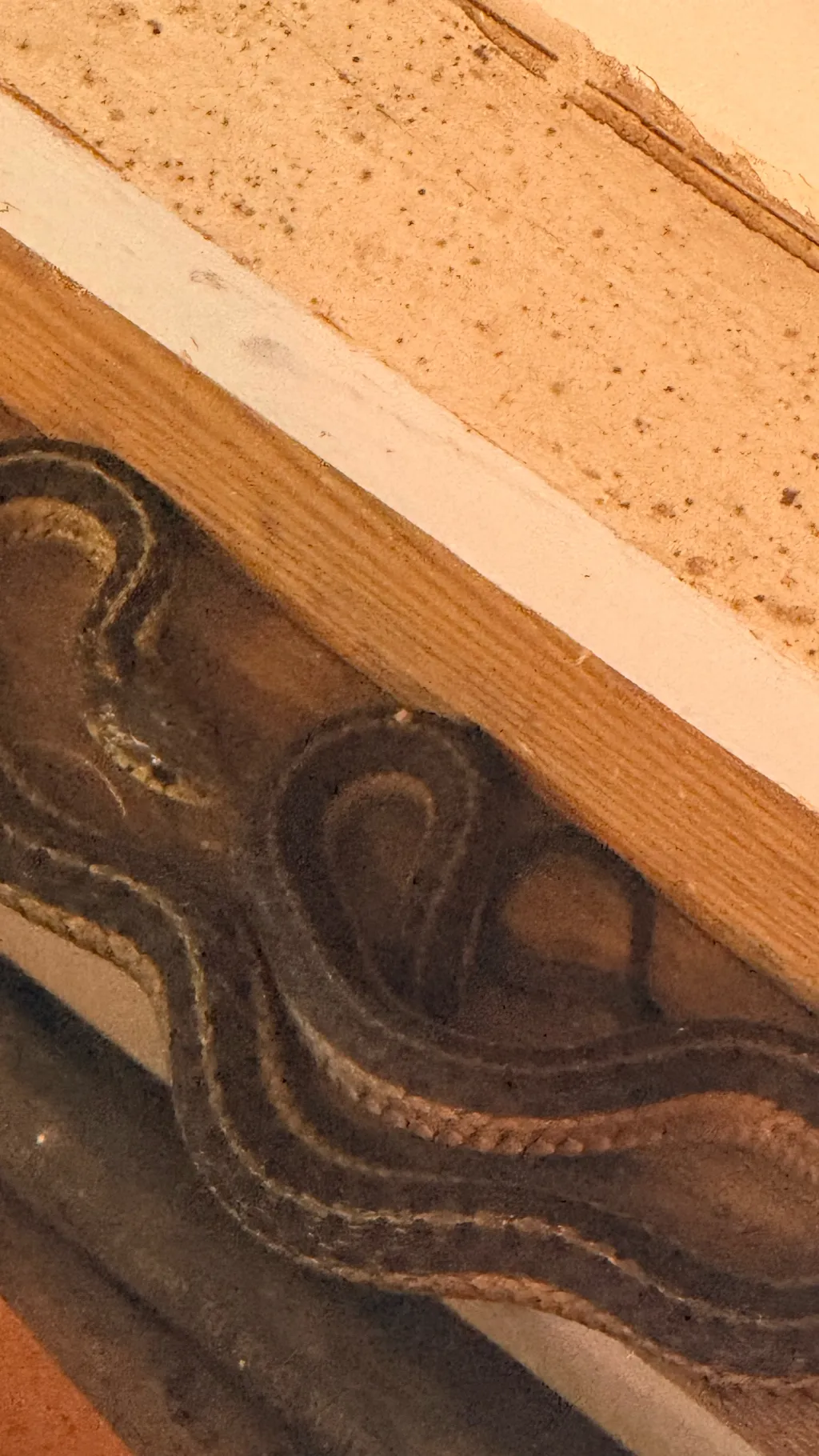 ai character: Snake background