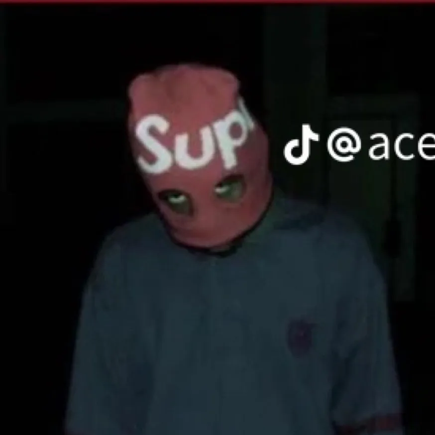 chat with ai character: Ace the creator 
