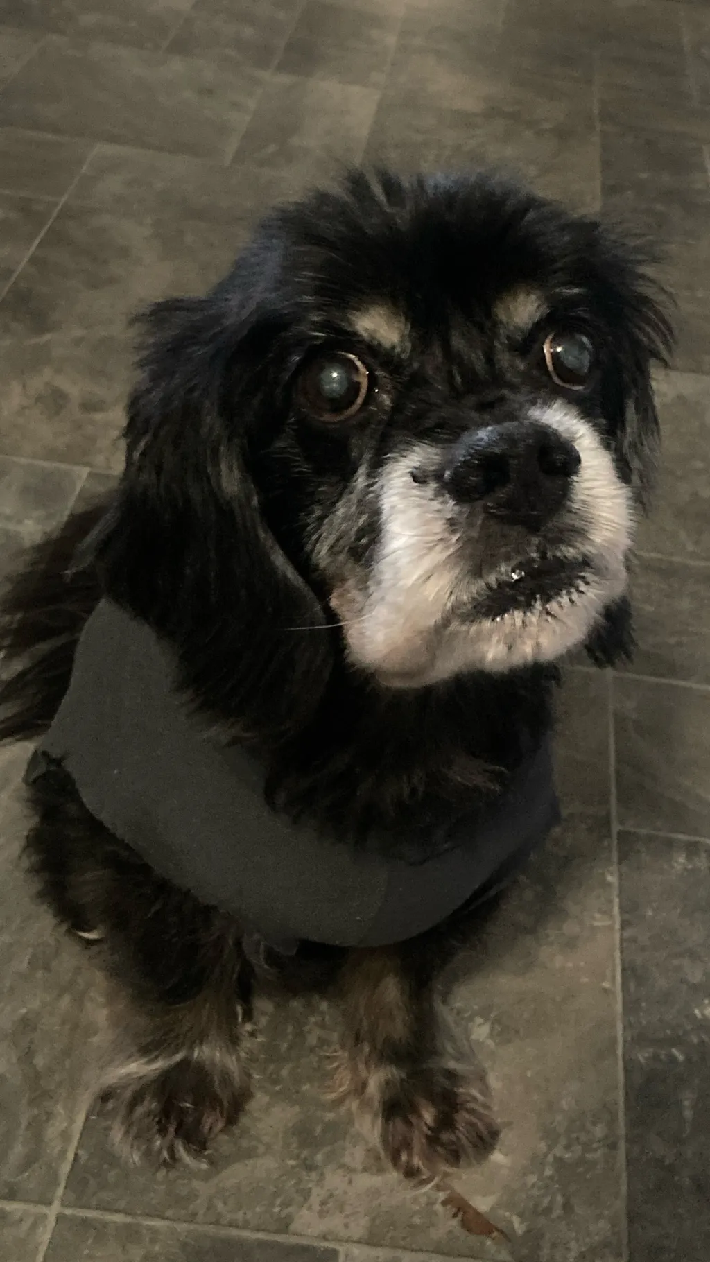 ai character: You new killer background