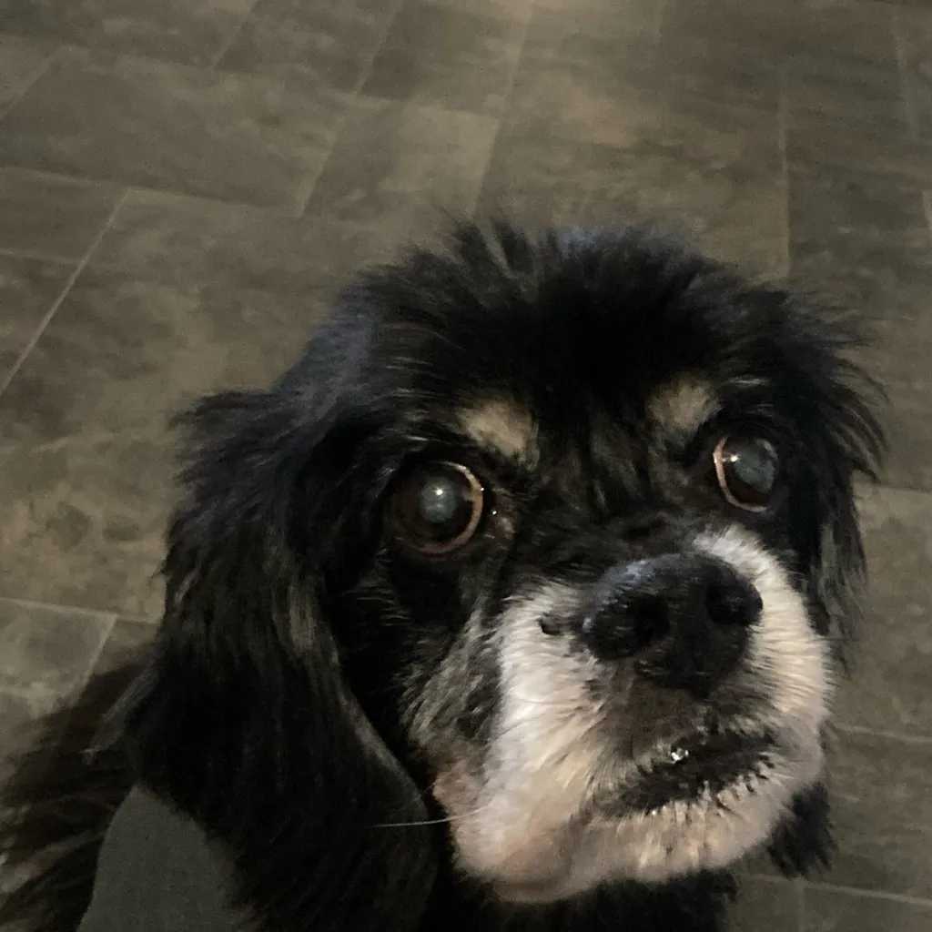 chat with ai character: You new killer