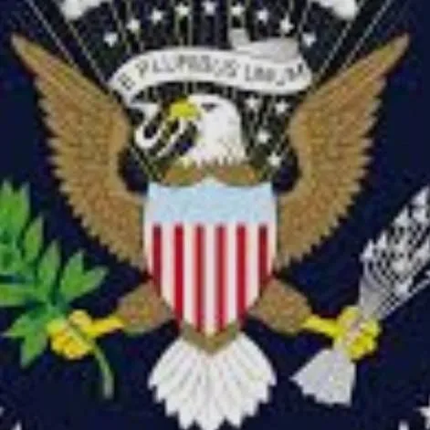 chat with ai character: become president 