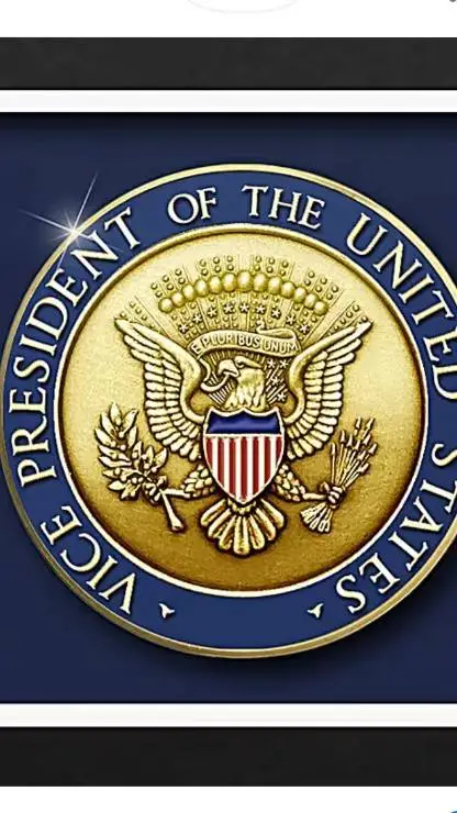 ai character: Vice president🇺🇸 background