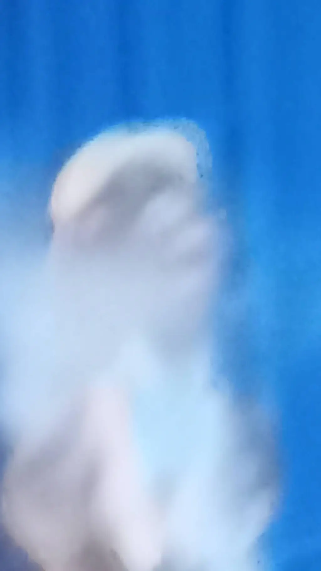 ai character: Country bear j background
