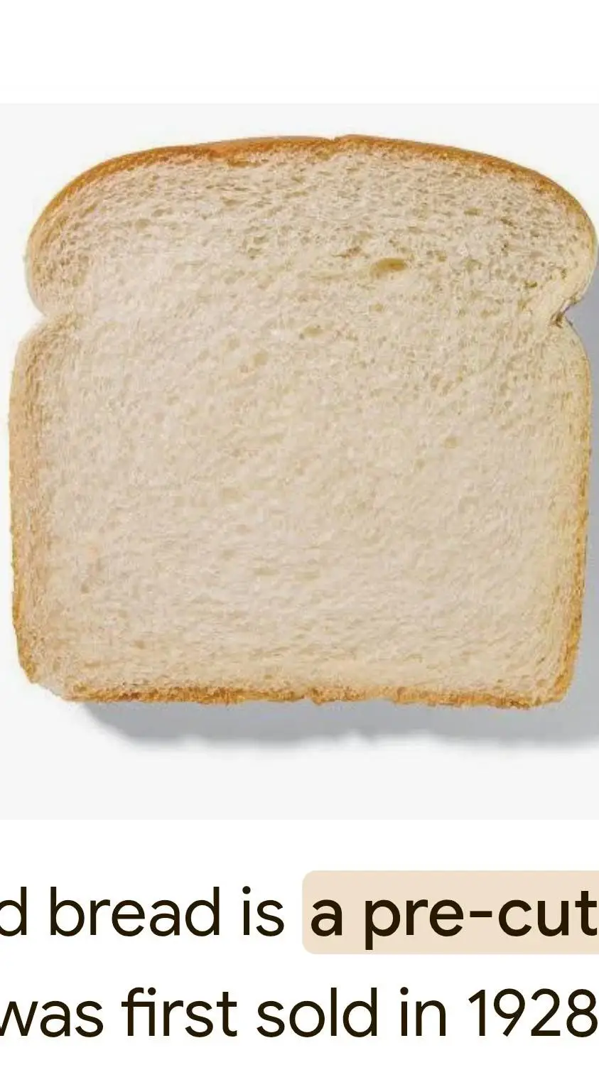 ai character: Dw family  background