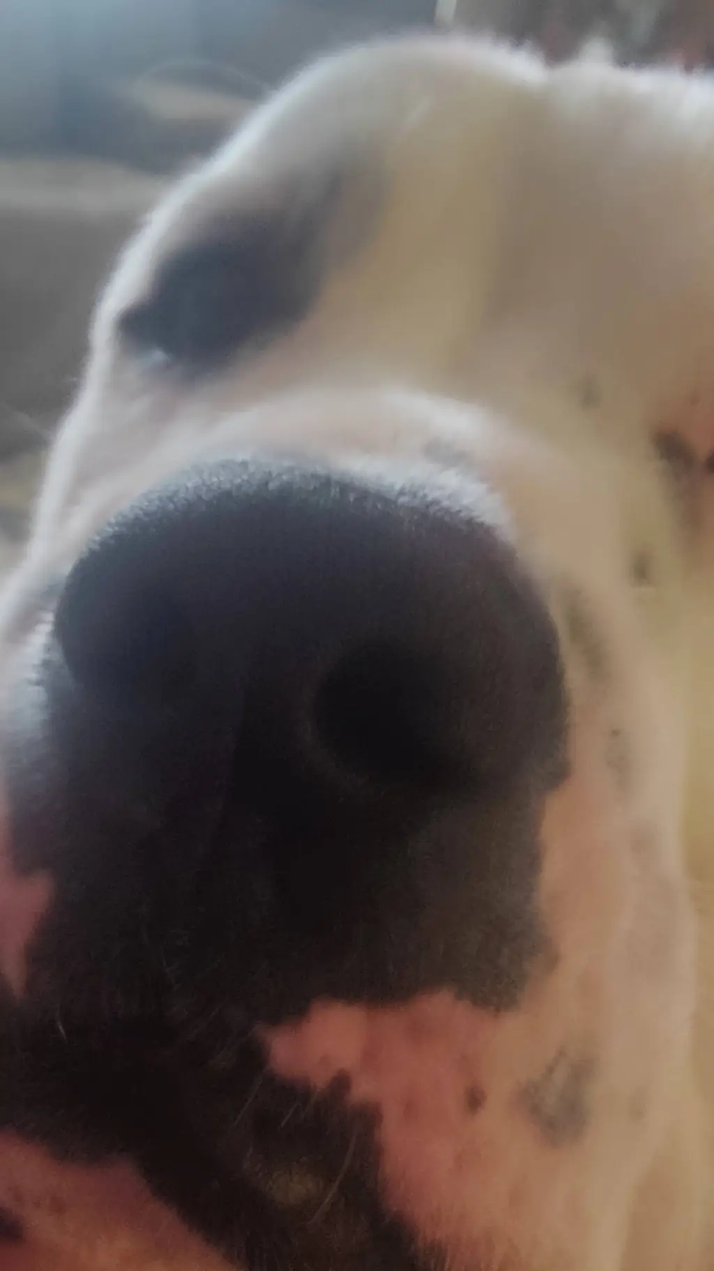 ai character: Dw left on sea background