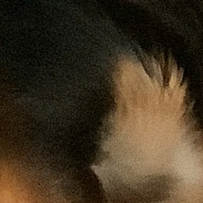 chat with ai character: Dog
