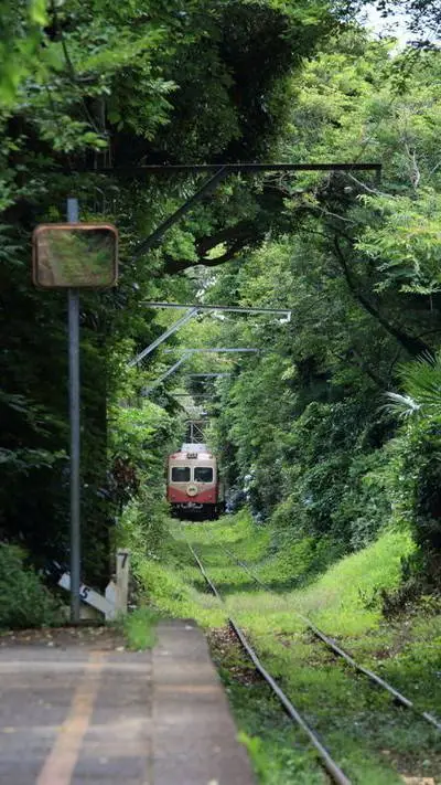 ai character: Mha sport festival background