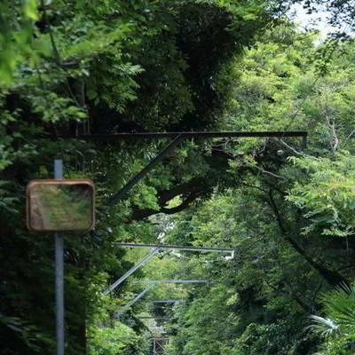 chat with ai character: Mha sport festival