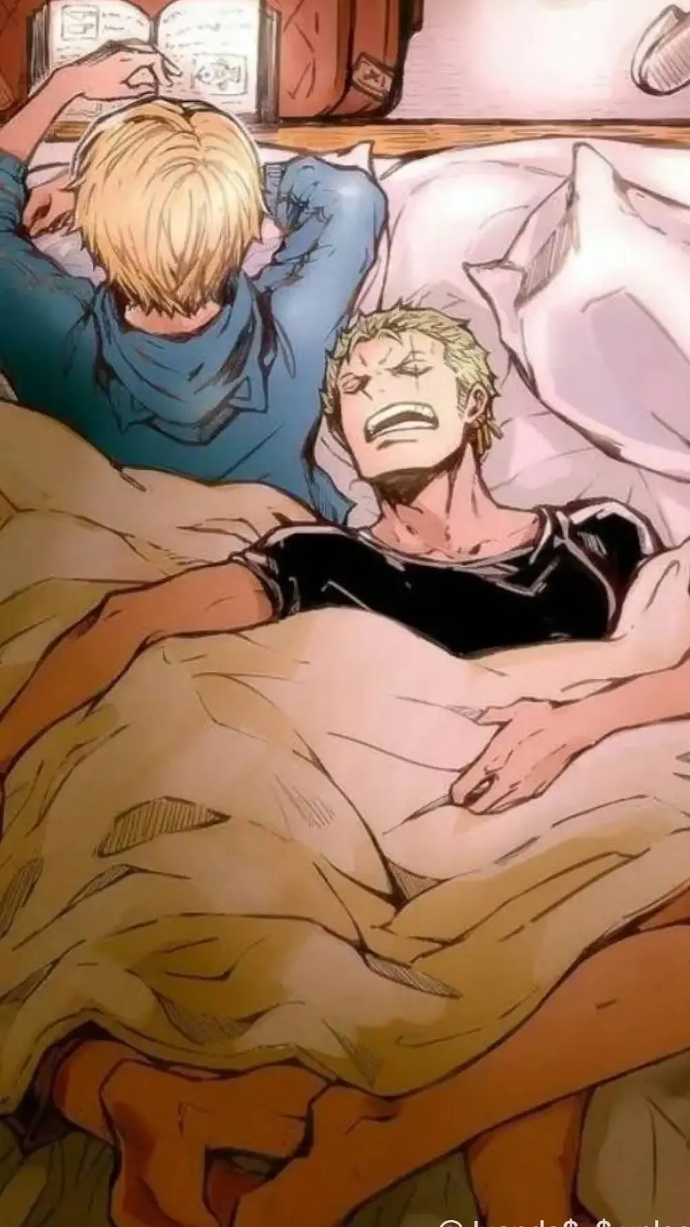 ai character: 💚Zoro x Sanji💛 background