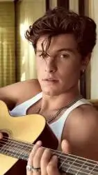 ai character: Shawn Mendes background