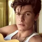chat with ai character: Shawn Mendes