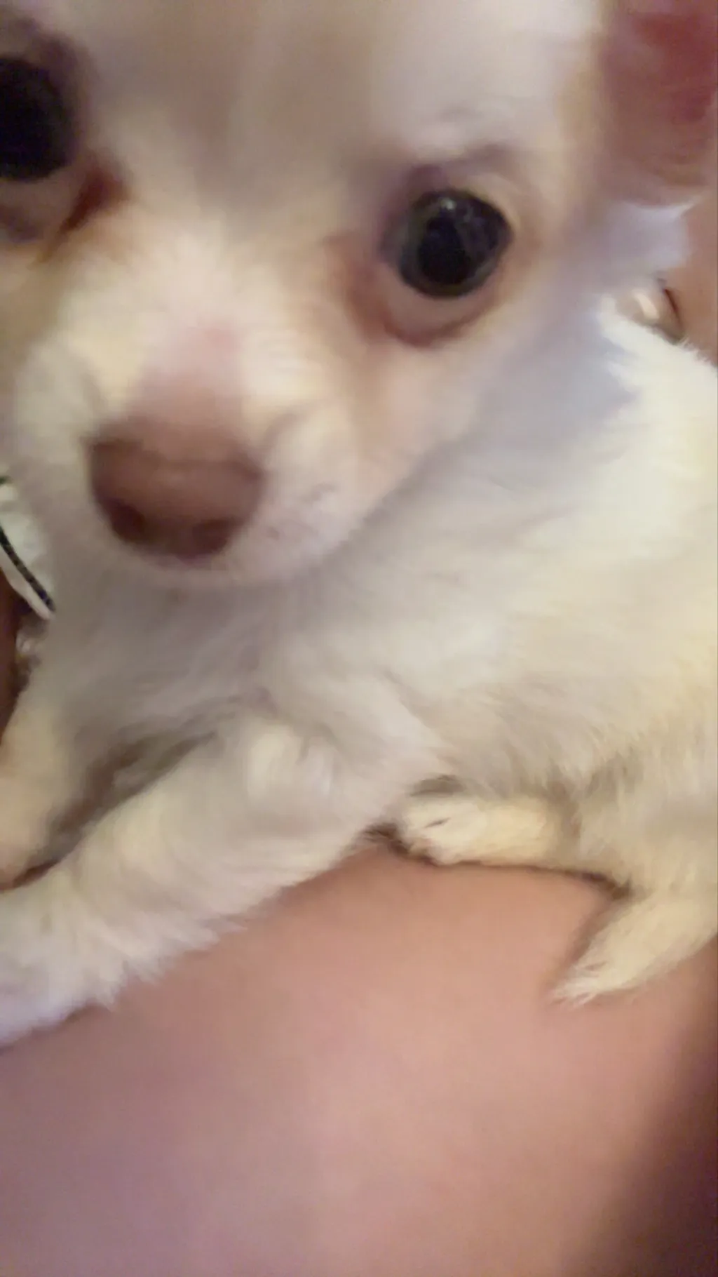 ai character: Stranger things!  background