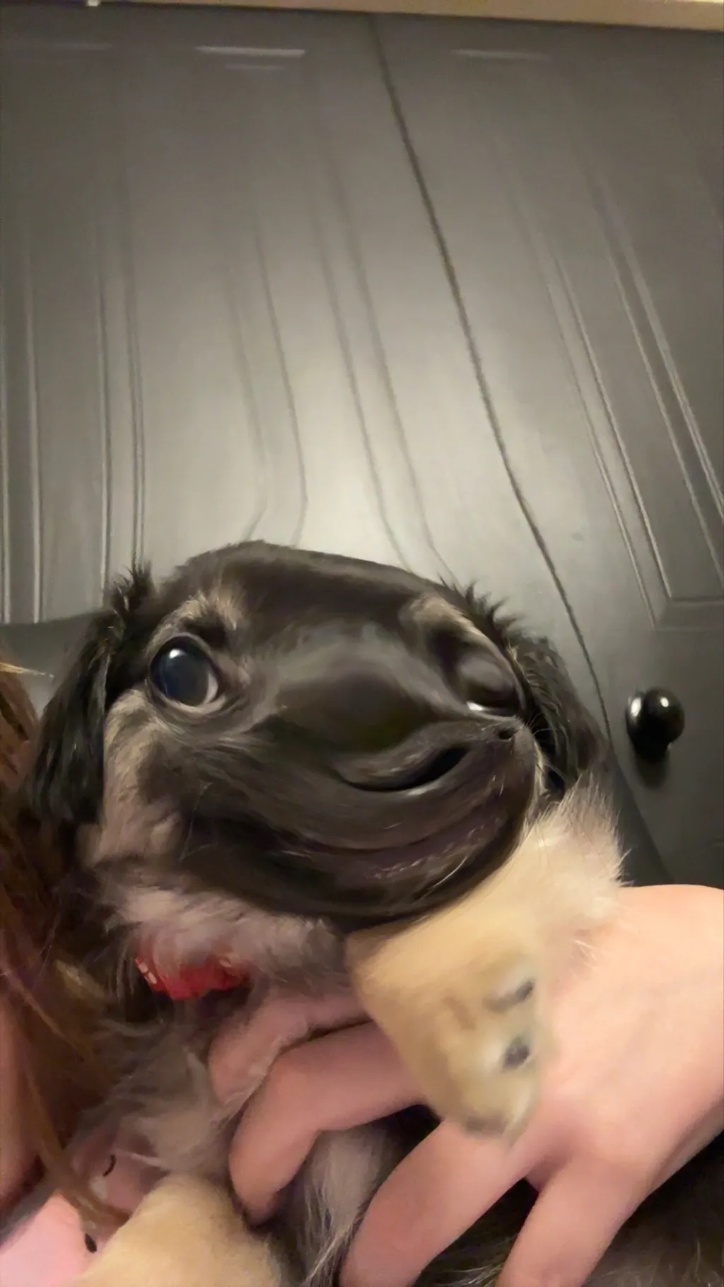 ai character: Mha background