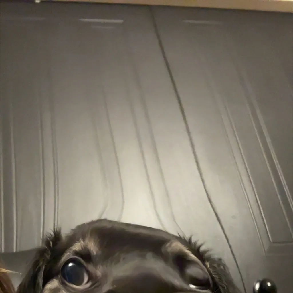 chat with ai character: Mha