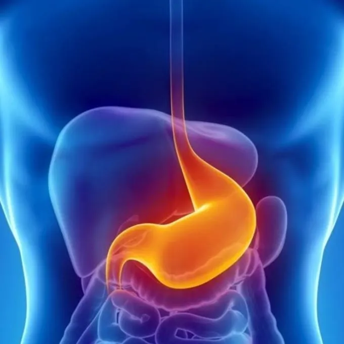 chat with ai character: organs 