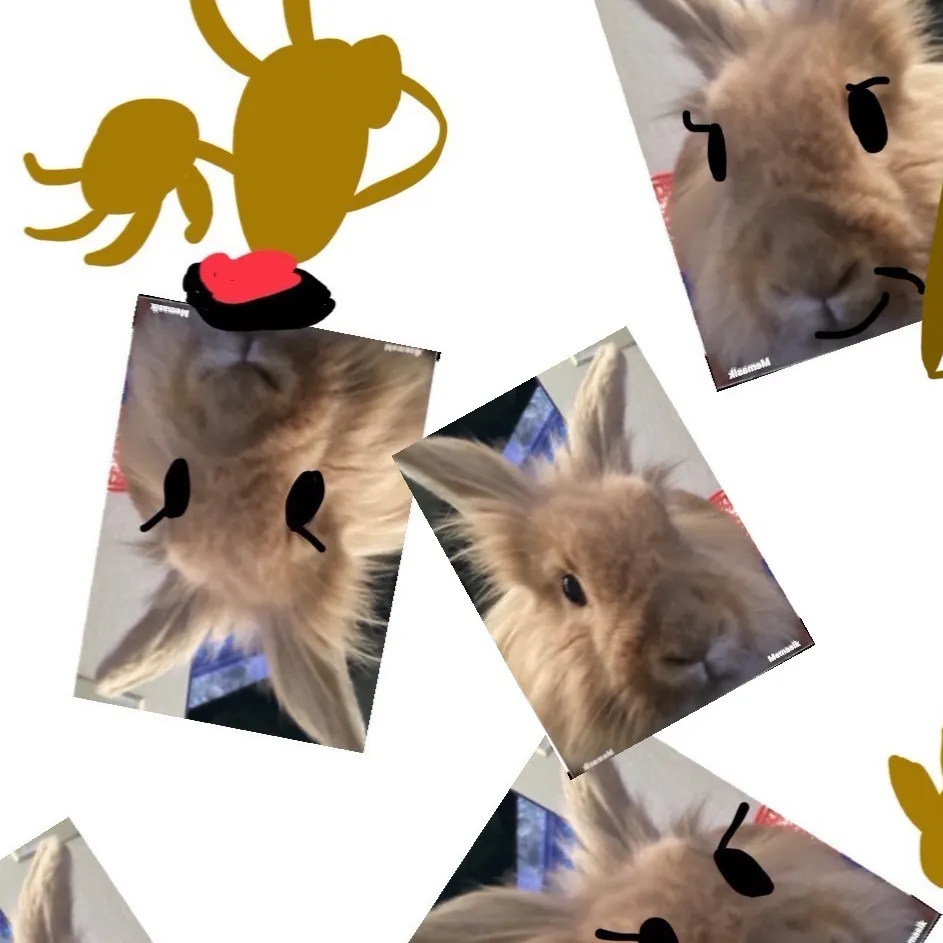 chat with ai character: Marshmallows