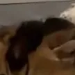 chat with ai character: ~`|•CAT~`|•