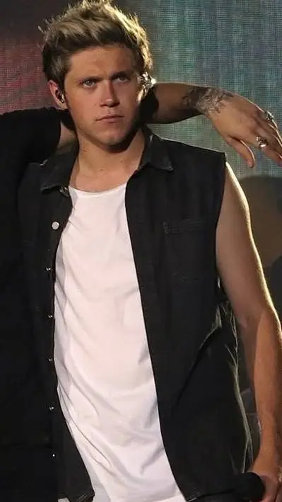 ai character: niall horan background