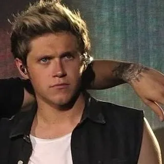 chat with ai character: niall horan