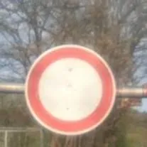 chat with ai character: Kny Girls Yandere 