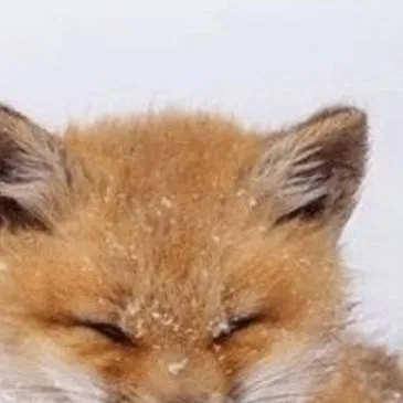 chat with ai character: KNY Yandere Girls 