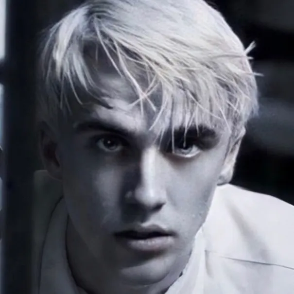 chat with ai character: Draco malfoy