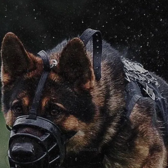 chat with ai character: max