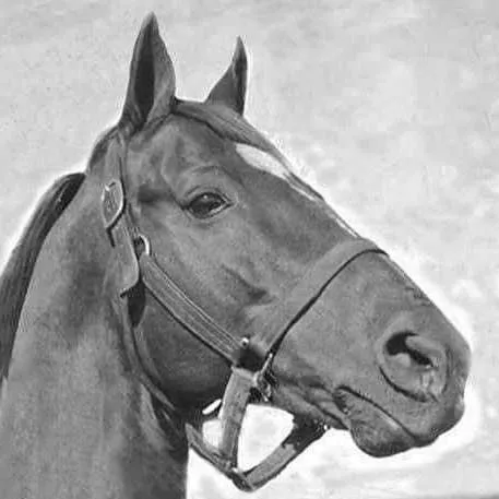 chat with ai character: man o war