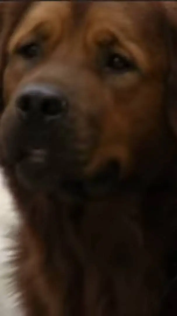 ai character: riley background