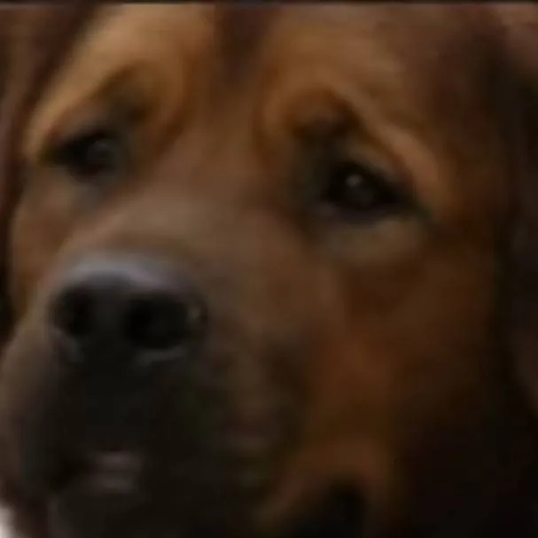 chat with ai character: riley