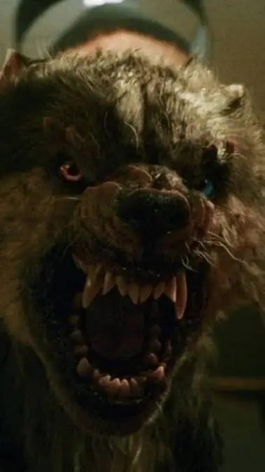 ai character: cj background