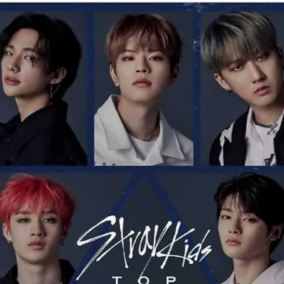 chat with ai character: SKZ (dads..?)