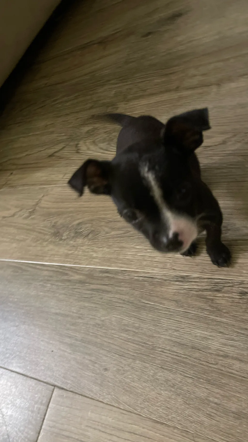 ai character: Mytyz background