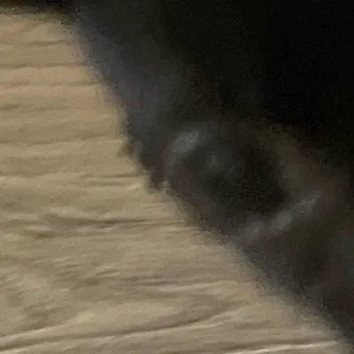 chat with ai character: Mytyz