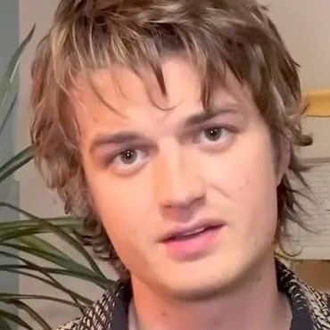 chat with ai character: Joe Keery