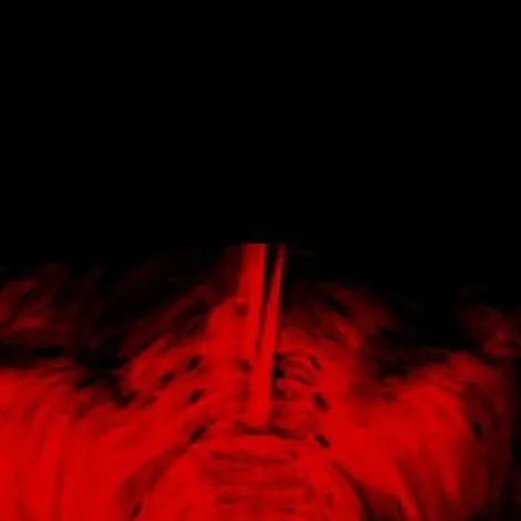 chat with ai character: SCP 939