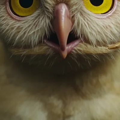 chat with ai character: Owl