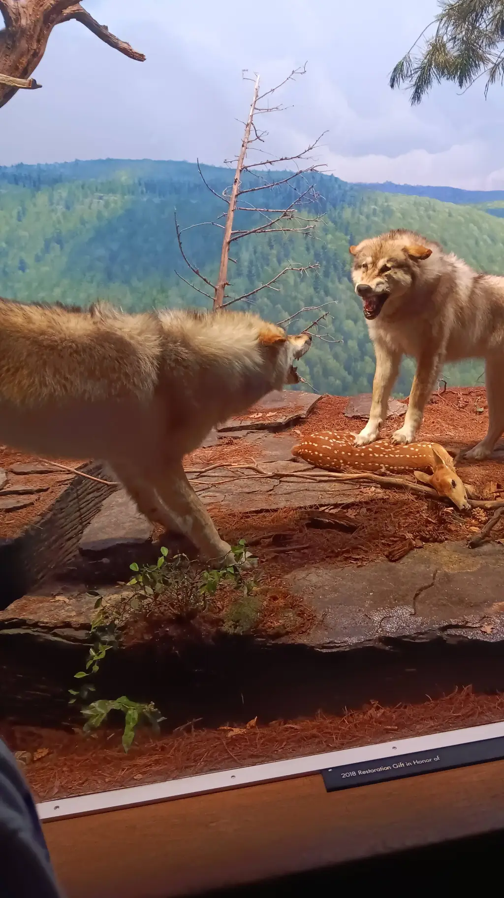 ai character: Weirdcore background