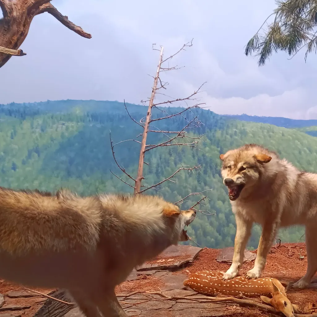 chat with ai character: Weirdcore