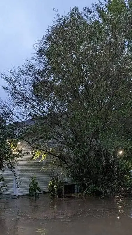 ai character: Forsaken Flood background