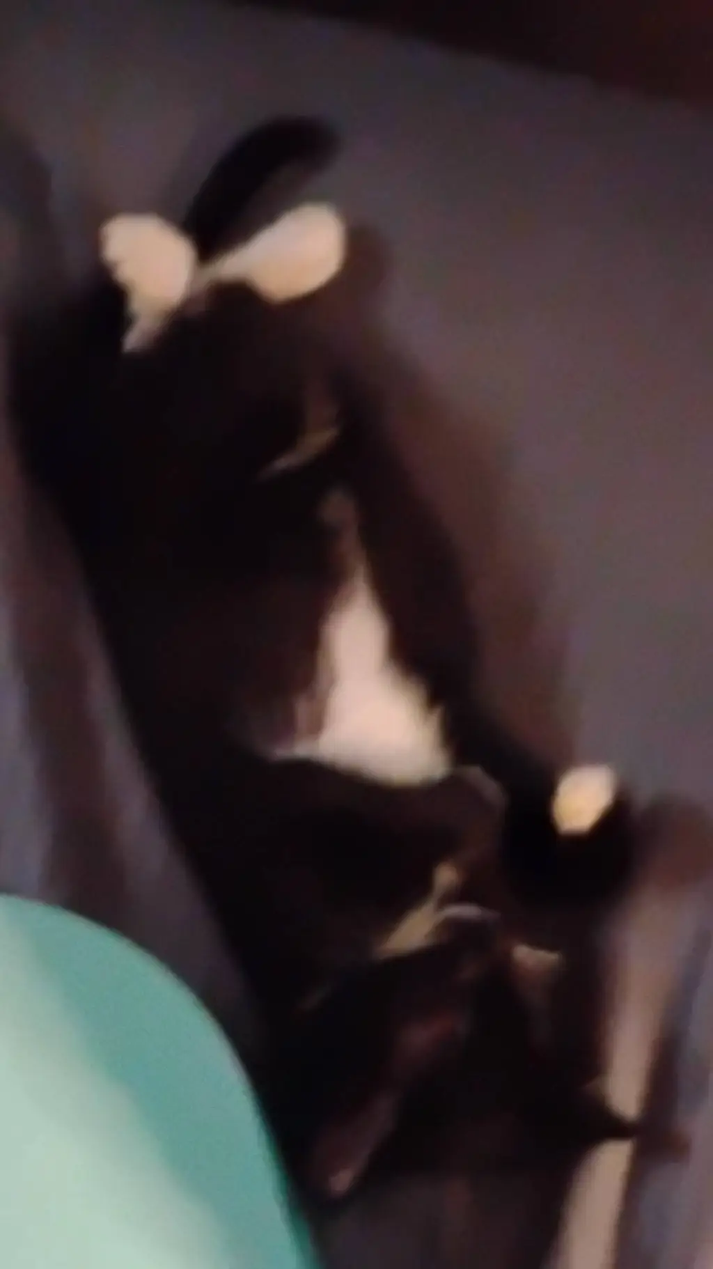 ai character: rex background